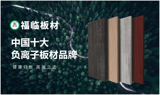 福臨板材定制格調書柜，滋養(yǎng)“書香女人”很有妙招